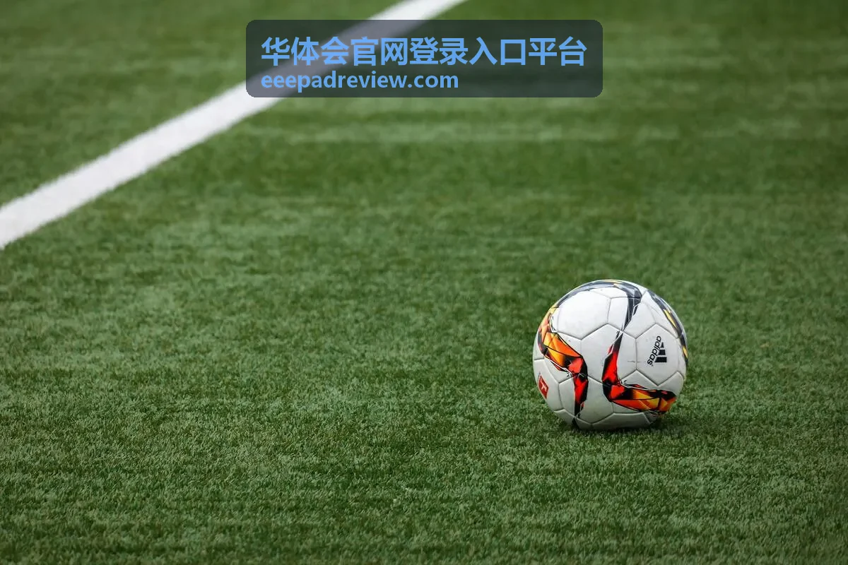 活动资讯 - 华体会官网登录入口平台内容更新列表展示